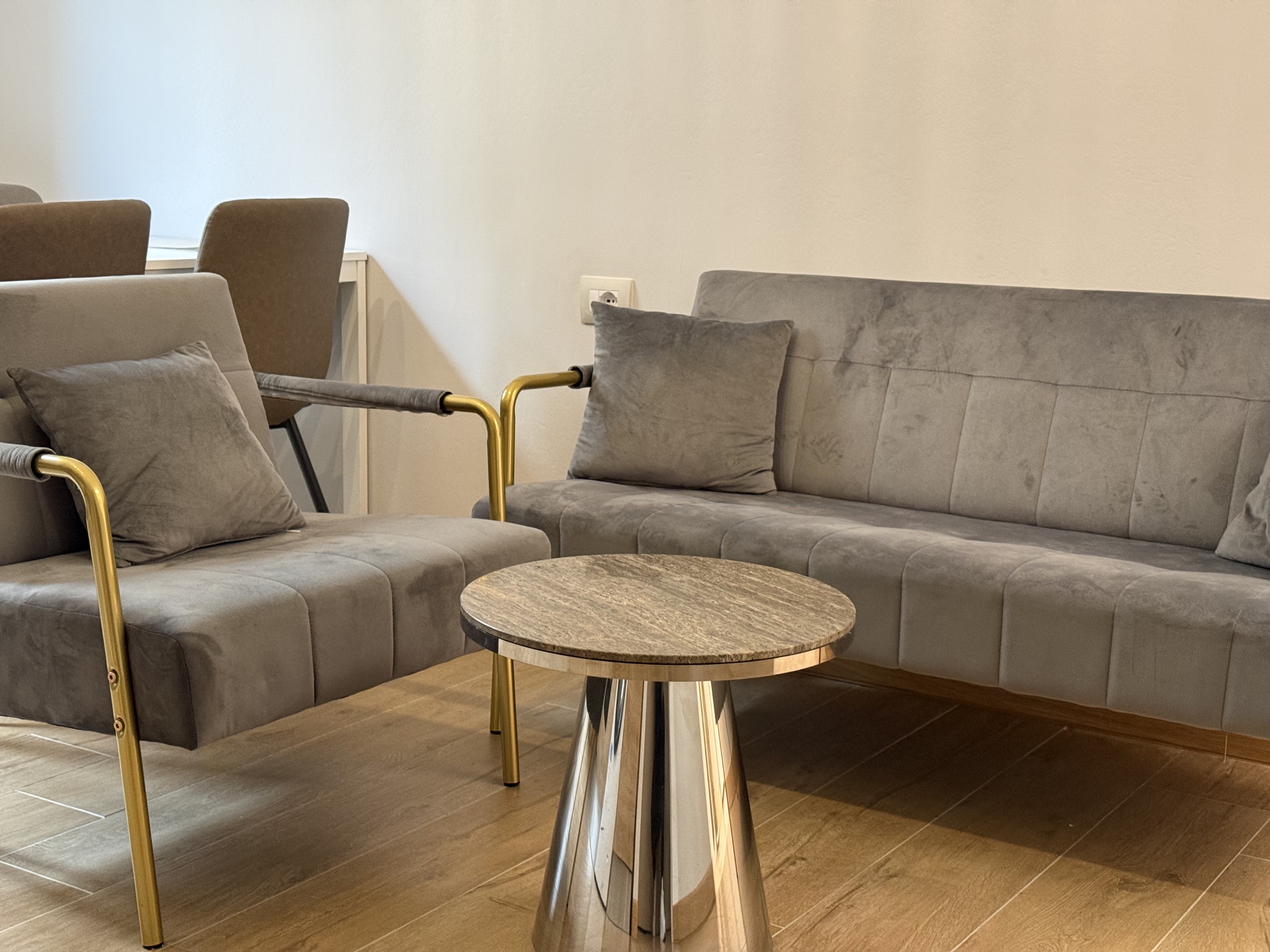 Apartment Bassini, Wohnzimmer & Küche 4